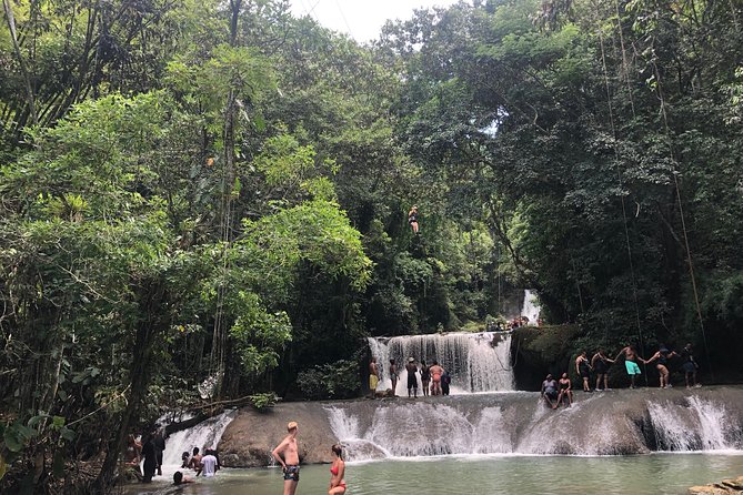 Black River Safari and YS Falls - How much time you really need