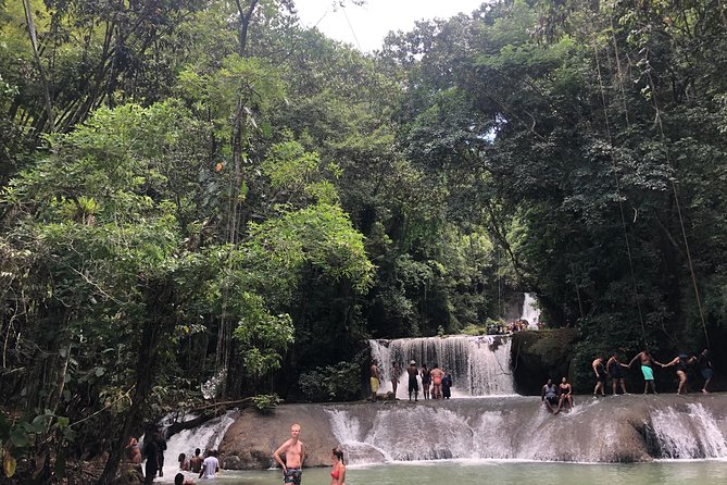 Black River Safari and YS Falls - Who will enjoy this private outing most