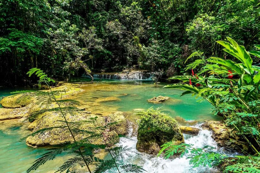 Black River Safari and Ys Falls Tour and Transportation - Should you book Black River and YS Falls?