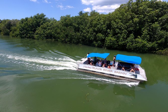 Black River Safari and YS Water Falls - Key points to know before booking