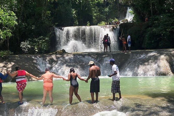 Black River Safari and YS Water Falls - What the $110 price really buys you