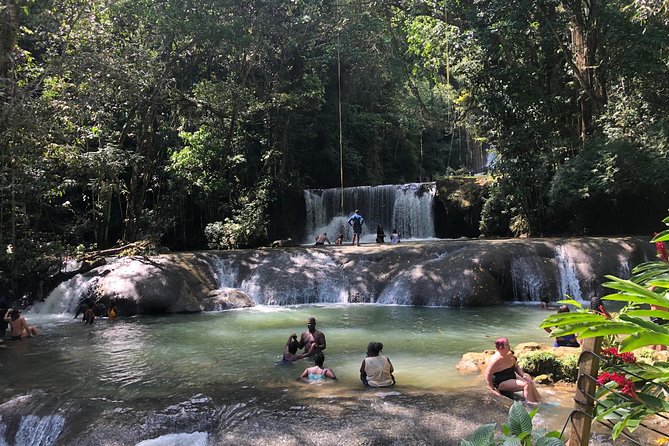 Black River Safari, YS Falls and Appleton Estate - Three south coast stops in one long day