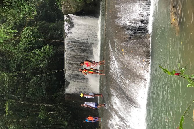 Black River Safari, YS Falls and Appleton Estate - What private transportation adds to the day