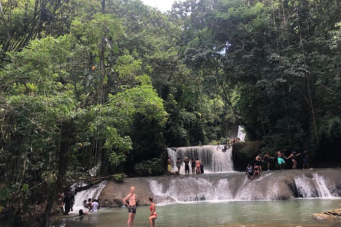 Black River Safari, YS Falls and Appleton Estate - Who will enjoy this Jamaica excursion