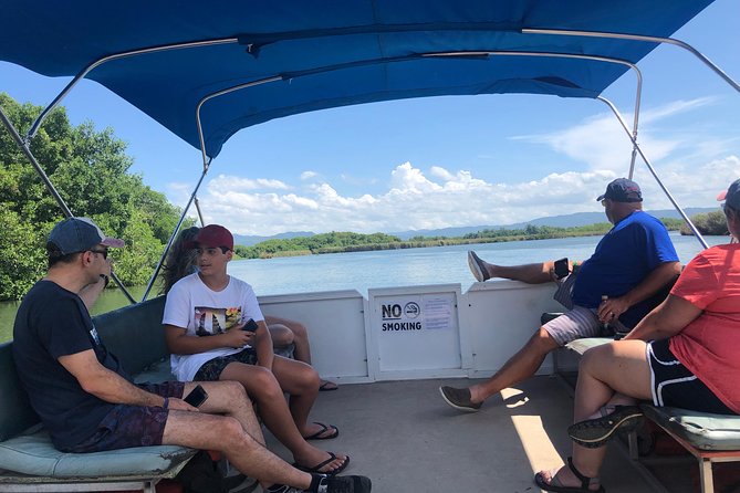 Black River Safari, YS Falls and Floyd's Pelican Bar - Finishing at Floyd’s Pelican Bar