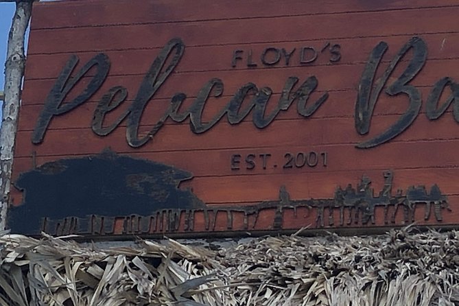 Black River Safari, YS Falls and Floyd's Pelican Bar - Watching crocodiles on the Black River