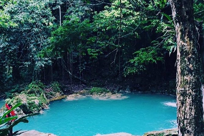 Blue Hole and Dunn's River Falls Tour from Montego Bay - Climbing Dunn’s River Falls