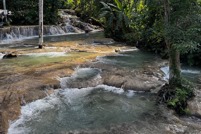Blue Hole and Dunn's River Tour (Entrance Fees Not Included) - What the private driver adds to the day