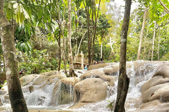 Blue Hole and Dunn's River Tour (Entrance Fees Not Included) - The value of $40, once the extra fees are counted