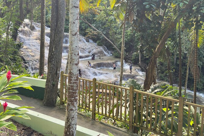 Blue Hole and Dunn's River Tour (Entrance Fees Not Included) - Fitness, footwear, and pacing advice