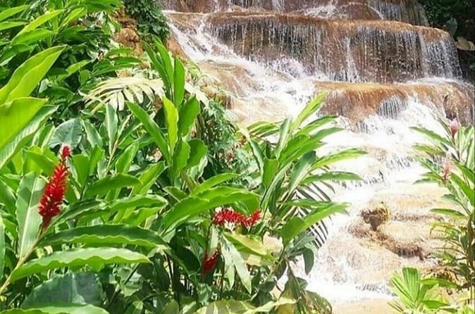 Blue Hole And Konoko Falls Combo Tour From Ocho Rios & Runaway Bay! - A small vehicle makes the day easier