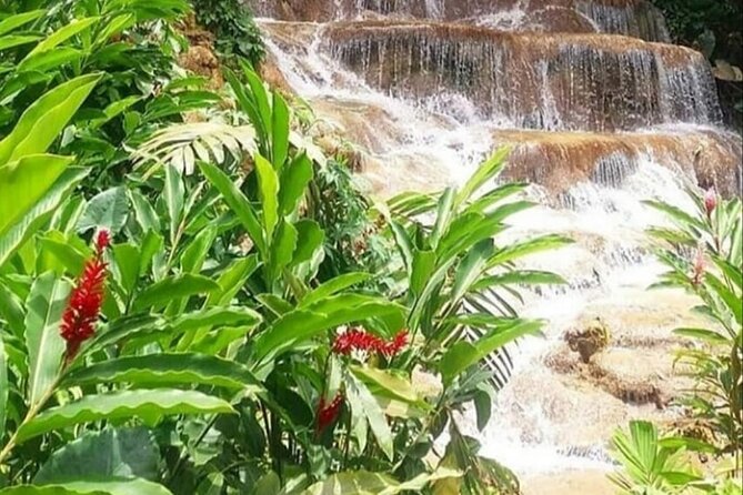 Blue Hole And Konoko Falls Combo Tour From Ocho Rios & Runaway Bay! - Who will enjoy this tour most