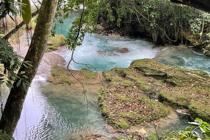 Blue Hole and Sightseeing Tour from Ocho Rios - Swimming, jumping, and the rope swing