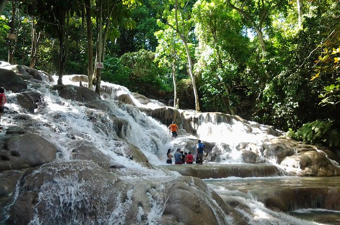 Blue Hole, Dunn's River Falls Luminous Lagoon Excursion From Montego Bay - Luminous Lagoon after sunset