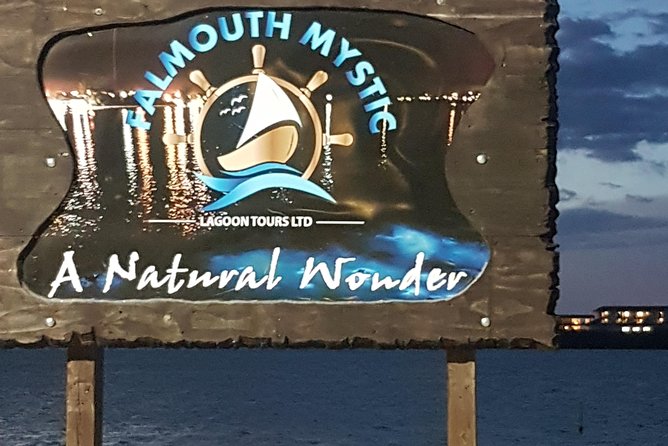 Blue Hole, Dunn's River Falls Luminous Lagoon Excursion From Montego Bay - Is $210.33 a fair price?