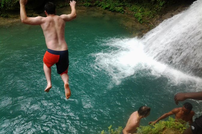 Blue Hole, Dunn's River Falls Luminous Lagoon Excursion From Montego Bay - Who should book this excursion?