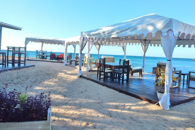 Blue Hole, Dunn's River Falls + Lunch & Cocktails at Bamboo Beach - Who should book this Ocho Rios combination tour?