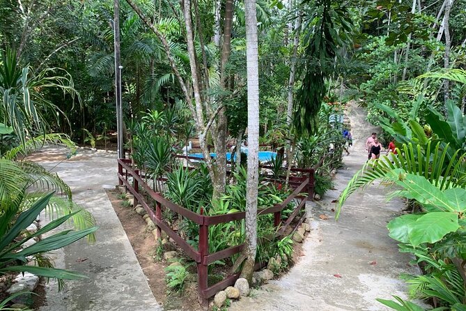 Blue Hole & Dunn's River Falls with Lunch from Negril - Physical demands and what to pack