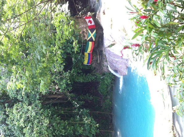 Blue Hole & Jamaica Sightseen Tour Included Transportation - Who Will Enjoy This Jamaica Excursion Most