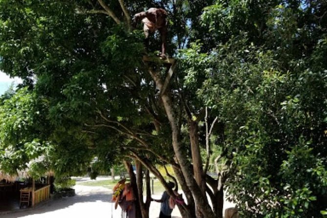 Blue Hole Mineral Spring and Ricks Cafe Private Tour - The road to Negril and Rick’s Cafe