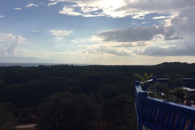 Blue Hole Mineral Springs, Rick's Café, and Shopping Combo Tour - What this Negril combo tour really offers