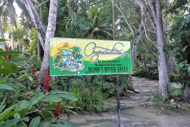 Blue Hole plus Secret Falls and Dunns River Falls Combo from Runaway Bay Hotels - Blue Hole: natural pools and rope swings