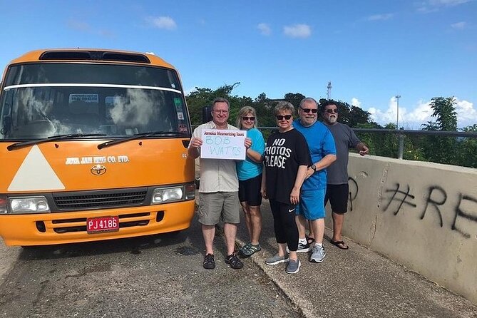 Blue Hole Secret Falls Private Tour - A private ride from Montego Bay changes the pace
