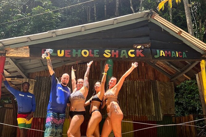 Blue Hole & Secret Waterfalls Tour from Falmouth Cruise Ships - What the private format changes