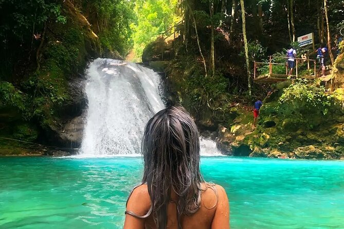 Blue Hole & Secret Waterfalls Tour from Falmouth Cruise Ships - The rainforest setting and the so-called secret waterfalls