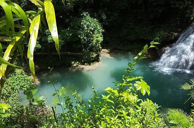 Blue Hole Tour from Ocho Rios - What happens at the Blue Hole