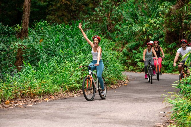 Blue Mountain Bicycle Tour - Key points to know before you book
