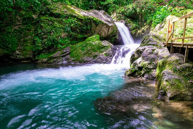 Blue Mountain Bicycle Tour - From Ocho Rios to Jamaica’s Blue Mountains