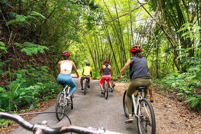 Blue Mountain Bicycle Tour - Getting fitted for the downhill ride