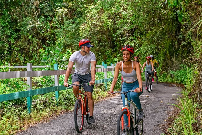 Blue Mountain Bicycle Tour - What the $144.84 price really buys