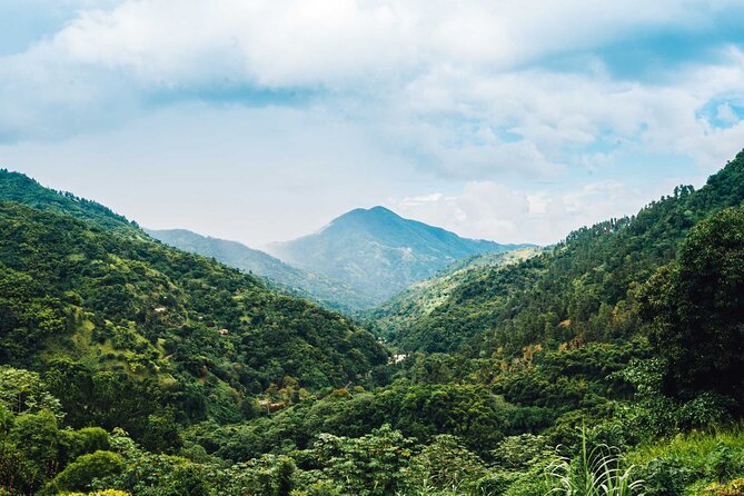 Blue Mountain Bicycle Tour - Should you book the Blue Mountain Bicycle Tour?