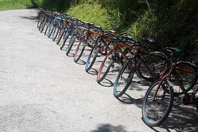 Blue Mountain Bicycle Tour from Montego Bay - Practical details that can change your day