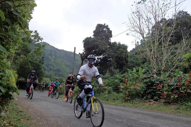 Blue Mountain Bicycle Tour from Montego Bay - Starting high in Jamaica’s Blue Mountains