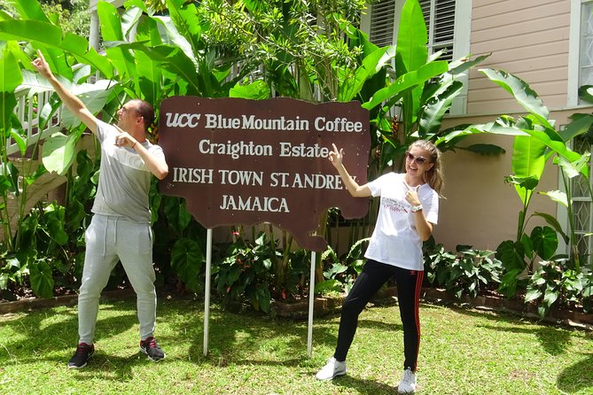 Blue Mountain Coffee and Sightseeing Tour - Devon House coffee and ice cream