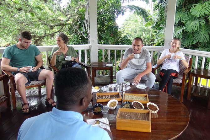 Blue Mountain Coffee and Sightseeing Tour - Newcastle JDF Camp and the Kingston view