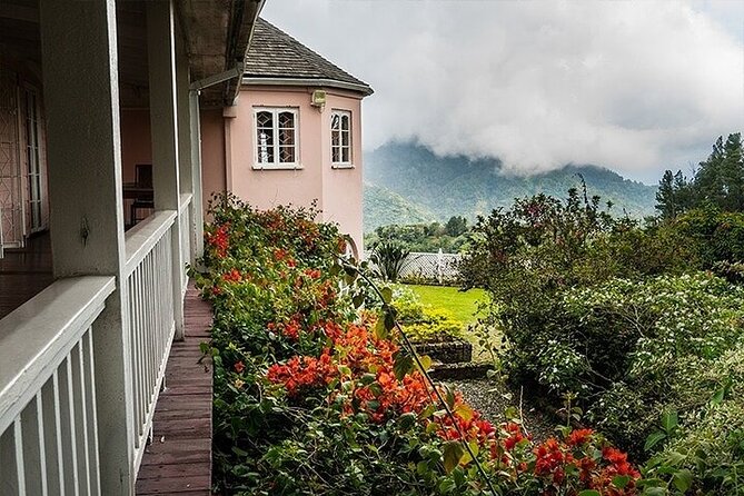Blue Mountain Coffee, Bob Marley and Art Tour from Montego Bay - The road from Montego Bay to Spanish Town