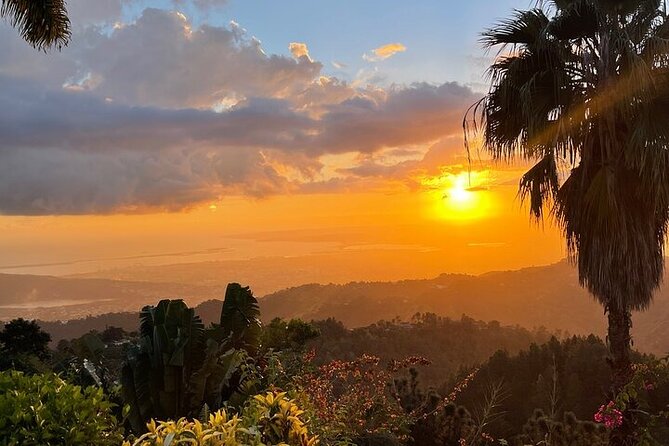 Blue Mountain Coffee, Bob Marley and Art Tour from Montego Bay - What the transport problem means for you