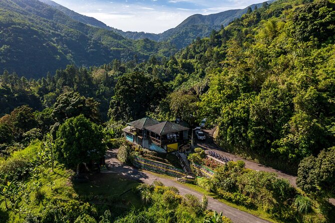 Blue Mountain Highlights - Rainforest views, birds, and mountain weather