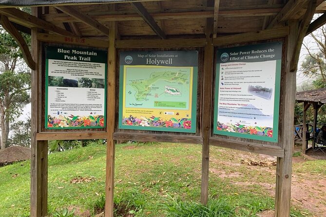 Blue Mountain Peek, and Site Seeing - Holywell Park’s forest trails