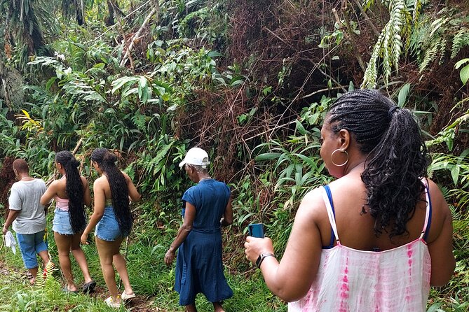 Blue Mountain Sight-Seeing & Nature Trail Hike with Private Guide - Leaving Ocho Rios for the Blue Mountains