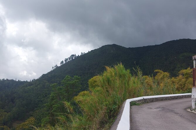 Blue Mountain Sight-Seeing & Nature Trail Hike with Private Guide - Omar’s role on the trail