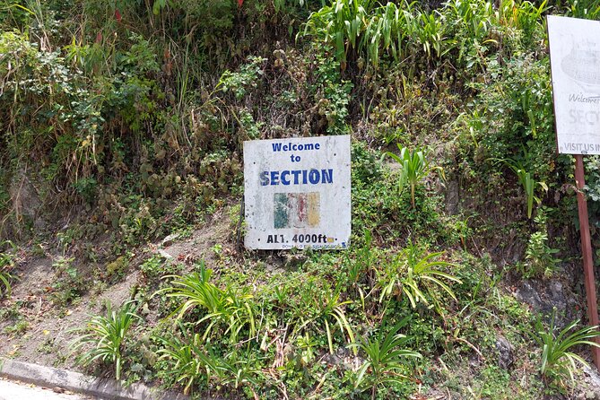 Blue Mountain Sight-Seeing & Nature Trail Hike with Private Guide - Newcastle and its military past
