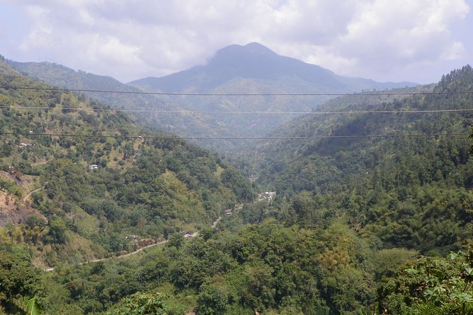 Blue Mountain Tour with Hotel Transportation - Key points before you book