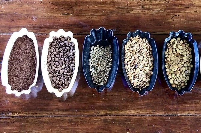 Blue Mountains Coffee Private Tour from Kingston - Key points at a glance