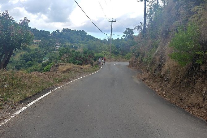 Blue Mountains Coffee Private Tour from Kingston - The coffee plantation visit