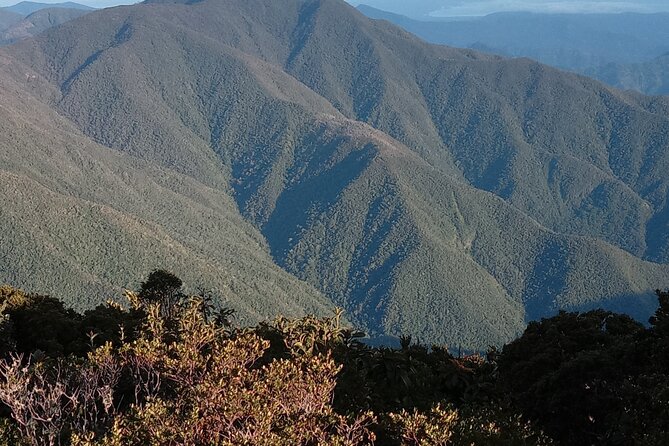 Blue Mountains Peak Hike - Roger’s ranger-led view of the mountains